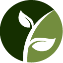 Rose Bush Pruning Pros