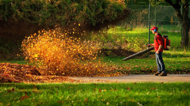 Autumn Leaf Removal Equipment